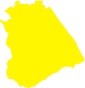 Munic_Nueva_Guinea.png